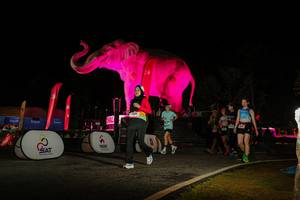 BIB: 
                            <button type="button" onclick="openModal(26534026)" class="btn btn-primary btn-sm float-right btn-popup" data-toggle="modal" data-target=".modal-high-quality">
                        <i class="fas fa-shopping-cart"></i> Add to Cart
                    </button>
                                            <button type="button" onclick="isThisMe(26534026, true)" class="btn btn-success btn-sm float-right btn-popup btn-isme hidden" data-toggle="tooltip" data-placement="bottom" title="นี่คือรูปของคุณใช่ไหม คลิกที่นี่เพื่อเอาเข้าอัลบั้ม">
                        <i class="fas fa-plus"></i> Add to album
                    </button>
                    <button type="button" onclick="isThisMe(26534026, false)" class="btn btn-warning btn-sm float-right btn-popup btn-isnotme hidden">
                        <i class="fas fa-ban"></i> Remove from album
                    </button>